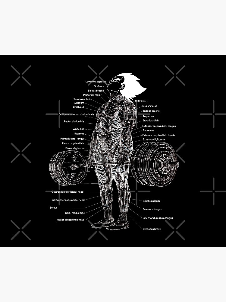 Vegeta Deadlift Muscle Chart Anatomy Diagram Anime Gym Motivational Tapestry - Image 2